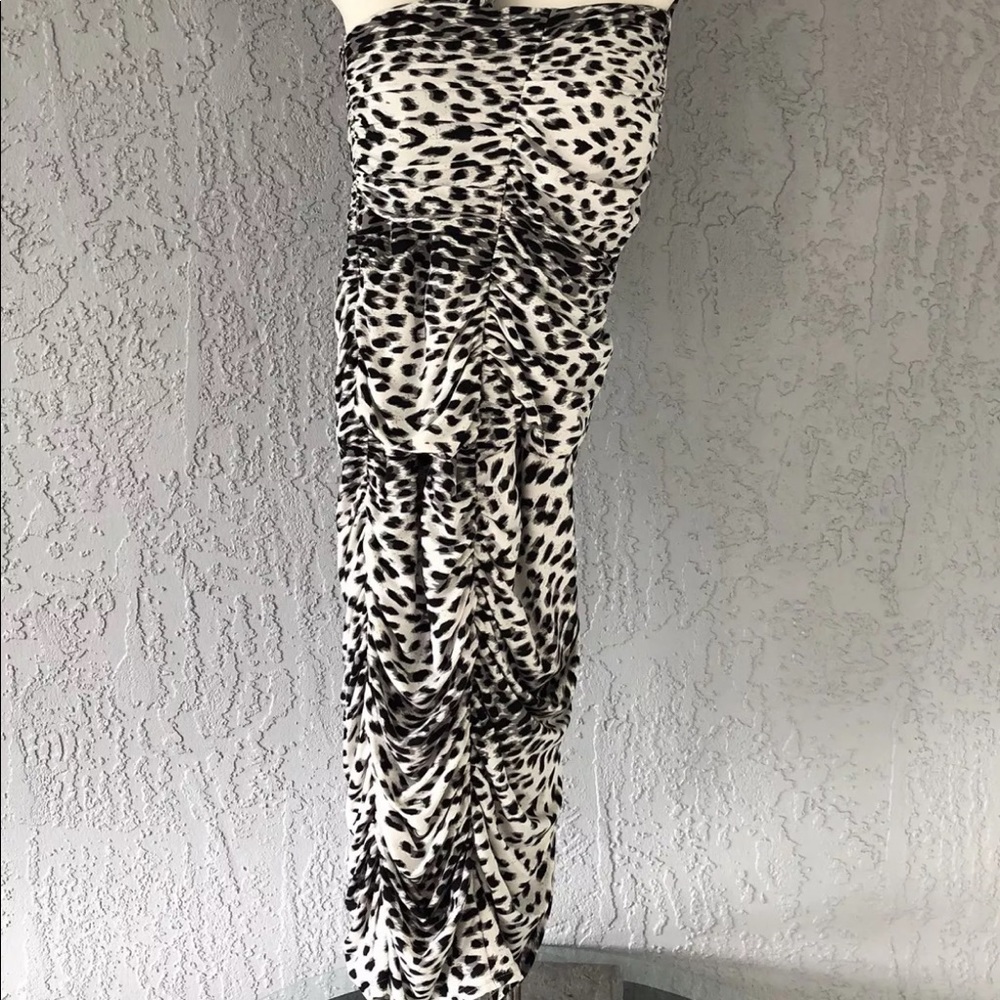 Takashi Shoji Leopard Print Dress